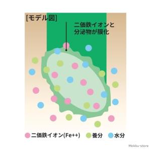 メネデール 2L あらゆる植物を元気に育てる ...の詳細画像2