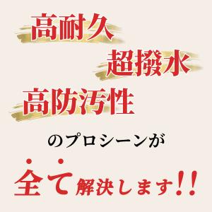 ガラスコーティング 車 最長5年 日本製 超撥...の詳細画像4