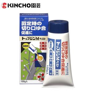 トップジンＭペースト 100g KINCHO園芸 剪定 整枝 殺菌剤 バラ もも りんご 梨 柿 柑橘 ぶどう オリーブ メロン 桜 園芸 ガーデニング 住友化学園芸