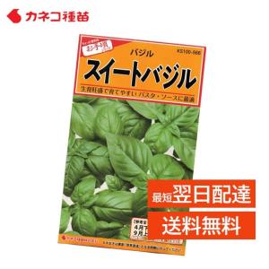 バジル 種 スイートバジル 家庭菜園 畑 プランター 業務用 手軽に作れる 日本の気候に最適 香味野菜 種 スパイシーでマイルドな香り｜mokku-shop