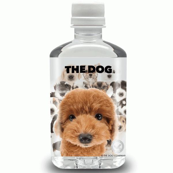 THE DOG プードル/3Ｄボトルウォーター
