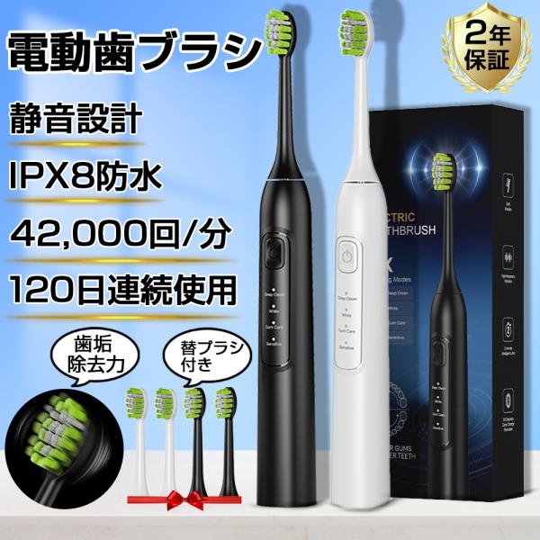 【高性能】電動歯ブラシ USB充電式 音波歯ブラシ 高速振動 42,000回/分 IPX8防水 本体...