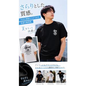 STUSSY ステューシー ブランド ロゴ t...の詳細画像1