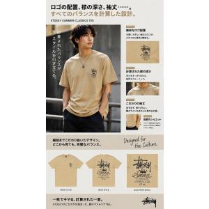 STUSSY ステューシー ブランド ロゴ t...の詳細画像3