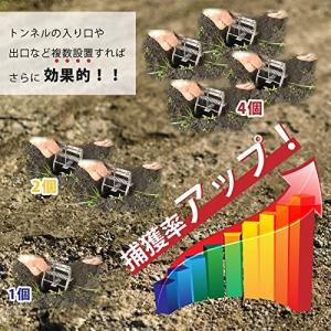 もぐら退治 モグラ駆除 モグラ捕獲 モグラトー...の詳細画像3