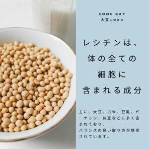 Cook Eat シリーズ 粉末 大豆レシチン...の詳細画像1