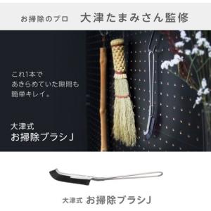 大津式 お掃除ブラシ 1本 大津たまみ監修 大...の詳細画像1