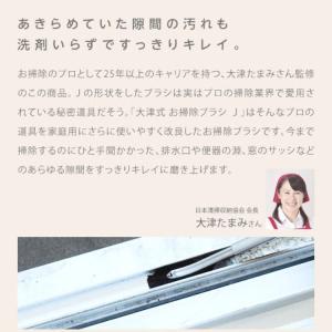 大津式 お掃除ブラシ 1本 大津たまみ監修 大...の詳細画像2