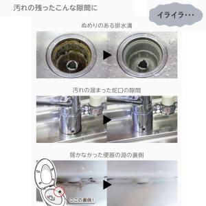 大津式 お掃除ブラシ 1本 大津たまみ監修 大...の詳細画像3