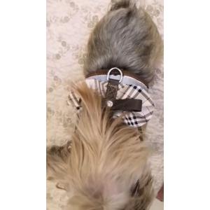 犬 バーバリーの商品一覧 通販 Yahoo ショッピング