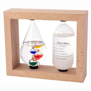 Fun Science ガリレオ温度計＆ストームグラス（気象予報計） ガラスフロート温度計  333-272