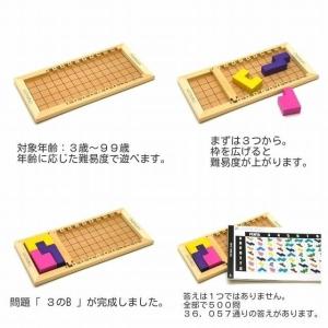 カタミノ KATAMINO 3D問題集つき パ...の詳細画像1