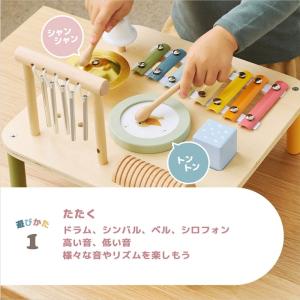 楽器 おもちゃ 音遊び 赤ちゃん 1歳半 2歳...の詳細画像2