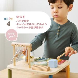 楽器 おもちゃ 音遊び 赤ちゃん 1歳半 2歳...の詳細画像5