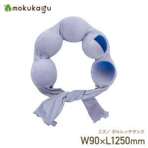 ミズノ ボルレッチサンク ストレッチ エクササイ...の商品画像