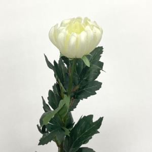 造花 菊 5本セット Aの詳細画像4