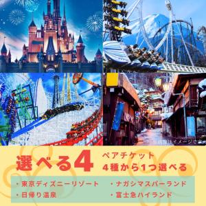景品 ディズニー チケット パネル 結婚式 目...の詳細画像2