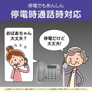 子機2台付+中継アンテナ(登録済み) パナソニ...の詳細画像2
