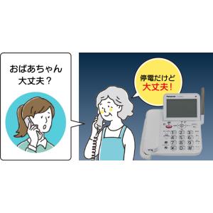 Panasonic パナソニック RU・RU・...の詳細画像5