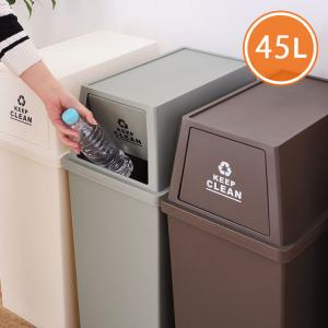 ゴミ箱 45L ふた付き 分別 スタッキング ダストボックス 日本製