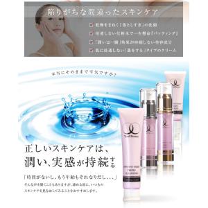 クレンジング クリーム 洗顔料 トリプルクレン...の詳細画像5