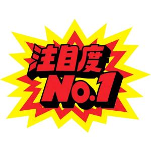 タカ印 POPクラフト 13-4010 爆発型 注目度No.1