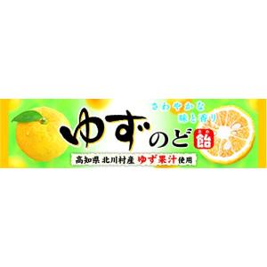 ライオン菓子 ゆずのど飴スティック 10粒 ×10個