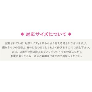 フィッシュネット ストッキング 網タイツ タイ...の詳細画像3