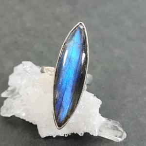 SWAROVSKI（スワロフスキー） 指輪 キツネ MARCH FOX モチーフのある