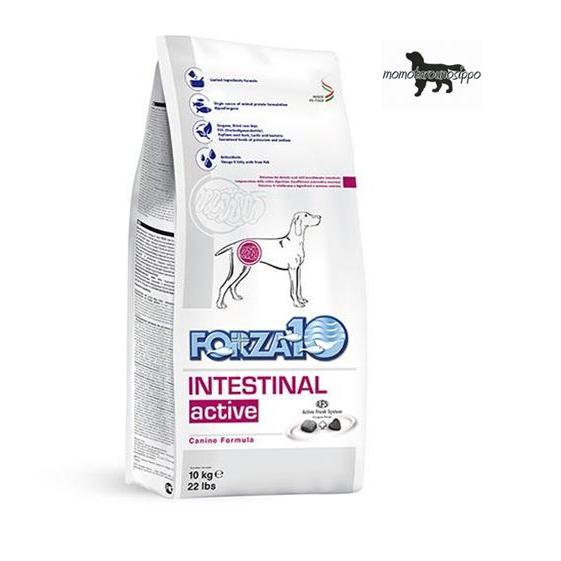 フォルツァ10 犬用 インテスティナルアクティブ ドライ（胃腸）犬用 10kg×1袋 送料無料  
