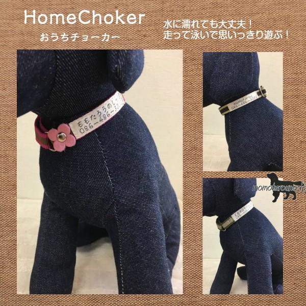 迷子札 HomeChoker犬猫 濡れても乾きやすいPPテープ おうちチョーカー1.2cm幅 チョー...