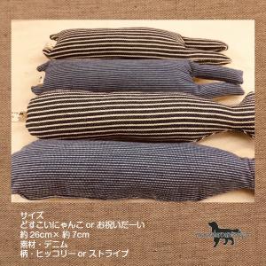 anifull（アニフル） 【anifull 公式】 保定のできる猫型採血