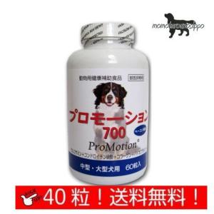 アンチノール プラス 犬 犬用 90粒 90 犬用サプリメント 送料無料 CCC