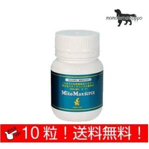 共立製薬 マイトマックス スーパー お試し 10粒 小型犬 猫用 送料無料（ポスト投函便） 犬用サプリメントの商品画像