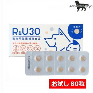 モエギタブ 犬猫用 100粒 （10粒×10シート）共立製薬 1注文3個まで送料