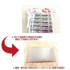 モエギタブ 犬猫用 100粒 (10粒×10シ...の詳細画像1