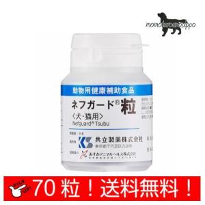 ネフガード 粒 ( 12g )/ 共立製薬 : 爽快ドラッグ - 通販 - Yahoo