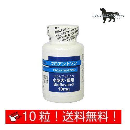 共立製薬 プロアントゾン10mg 小型犬・猫用 体重1kg〜9kg 1日1カプセル10日分 お試し1...