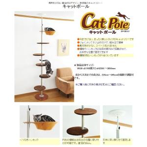 品質が完璧 猫用 キャットポール ボンビアルコン キャットツリー 送料無料 期間限定 つっぱりタイプ 遊び場 ハンモック付 キャットタワー ハウス ケージ キャットタワー Tarquinhall Com