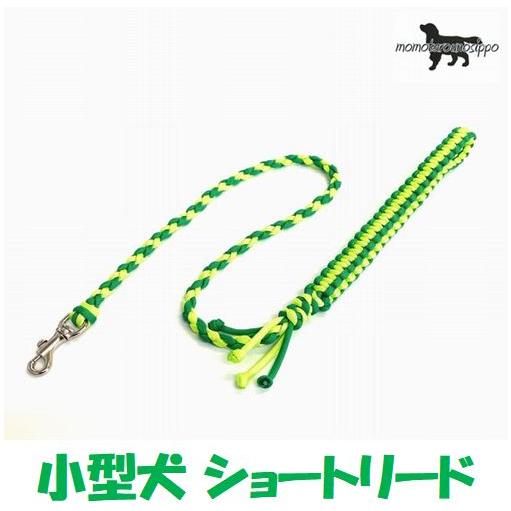 PARACORD LEAD パラシュートコード ショートリード （カラー：C ライトグリーン・グリー...