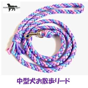 PARACORD LEAD パラシュートコード お散歩リード 大型犬 8本編み