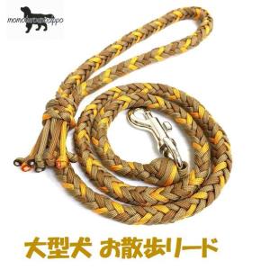 PARACORD LEAD パラシュートコード お散歩リード 大型犬 8本編み