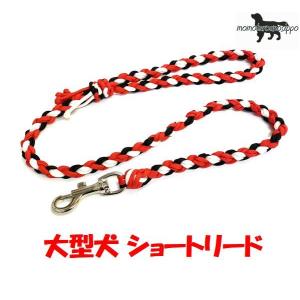 PARACORD LEAD パラシュートコード お散歩リード 大型犬 8本編み