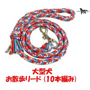 PARACORD LEAD パラシュートコード お散歩リード 大型犬 8本編み