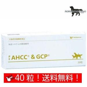 PE AHCC&GCP 30粒 犬猫用 【QIX】ペティエンス※お一人様3個まで！ 送料