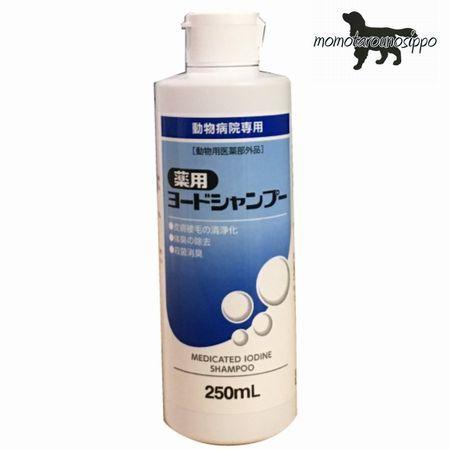 ささえあ製薬 薬用ヨードシャンプー 250ml  ※お一人様5本まで！送料無料