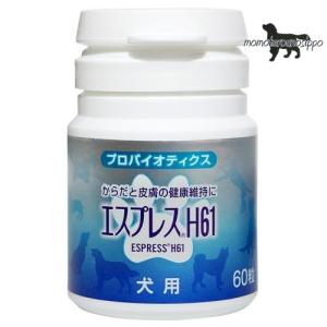 薬用クロルヘキシジンシャンプー 2kg シャンプー 送料無料 : わん