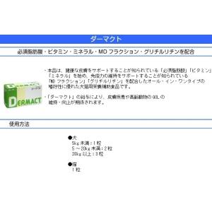 日本全薬工業 ダーマクト お試し 1粒(ポスト...の詳細画像1