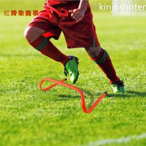 トレーニングハードル 5個セット ミニハードル...の詳細画像3