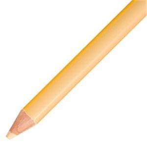 （まとめ）トンボ鉛筆 色鉛筆 単色 12本入 1500-29 うす橙 〔×5セット〕｜momoda